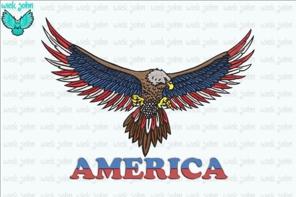 White Collared Eagle America: A Designer’s Review